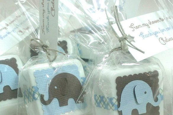 baby shower favors for boy ideas